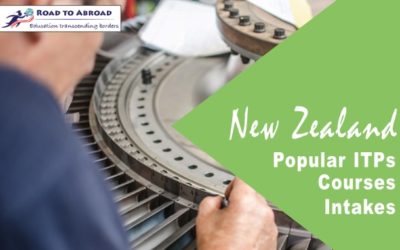 Apply at Popular ITPs in New Zealand