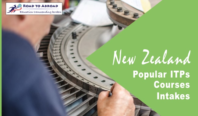 Popular ITPs in New Zealand