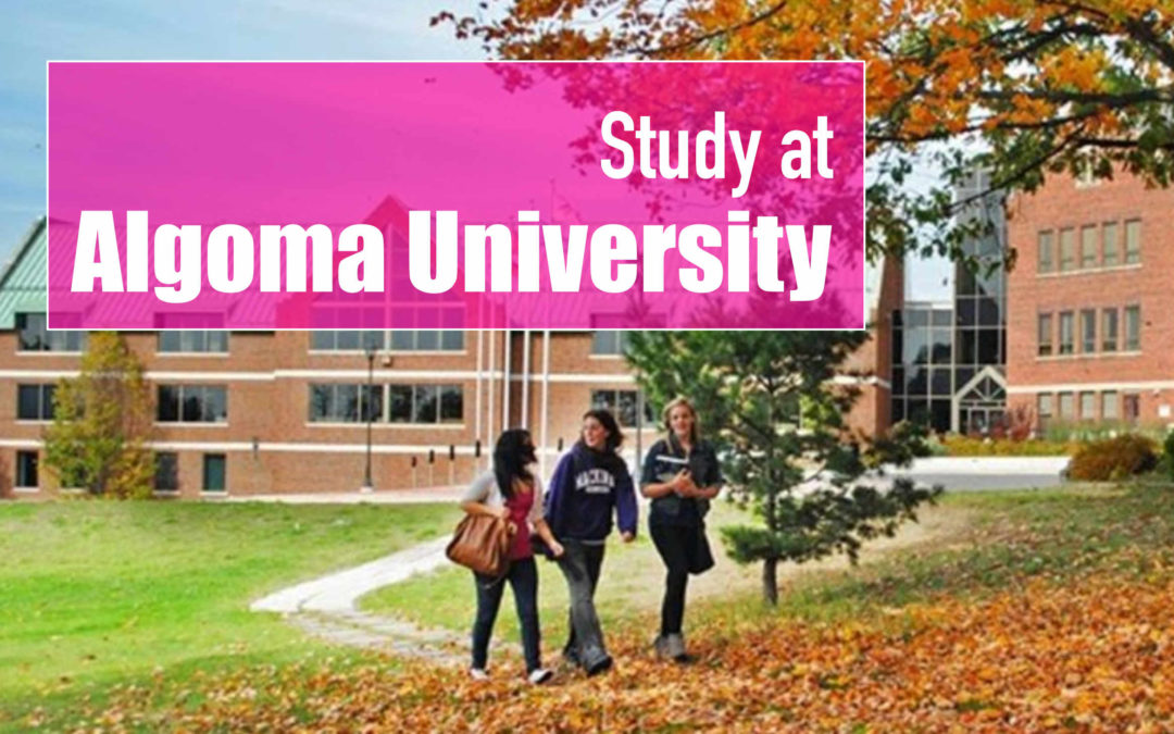 Algoma and Yorkville University, Canada – Application Information