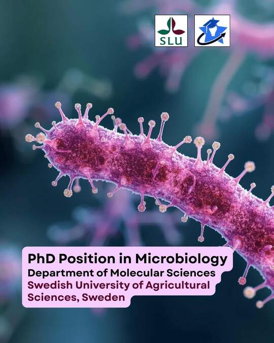 PhD Biology Uppsala Sweden PhD position in microbiology shown by a zoomed in picyure of a bacteria