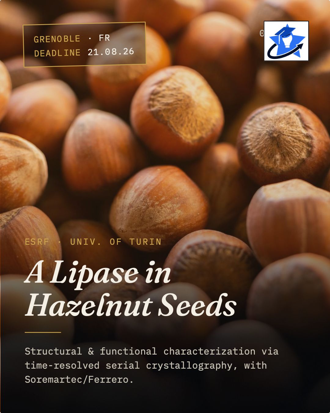 PhD Position in Hazelnut seeds Close-up of a pile of whole hazelnuts, with text reading "ESRF and University of Turin — A Lipase in Hazelnut Seeds: structural and functional characterization via time-resolved crystallography