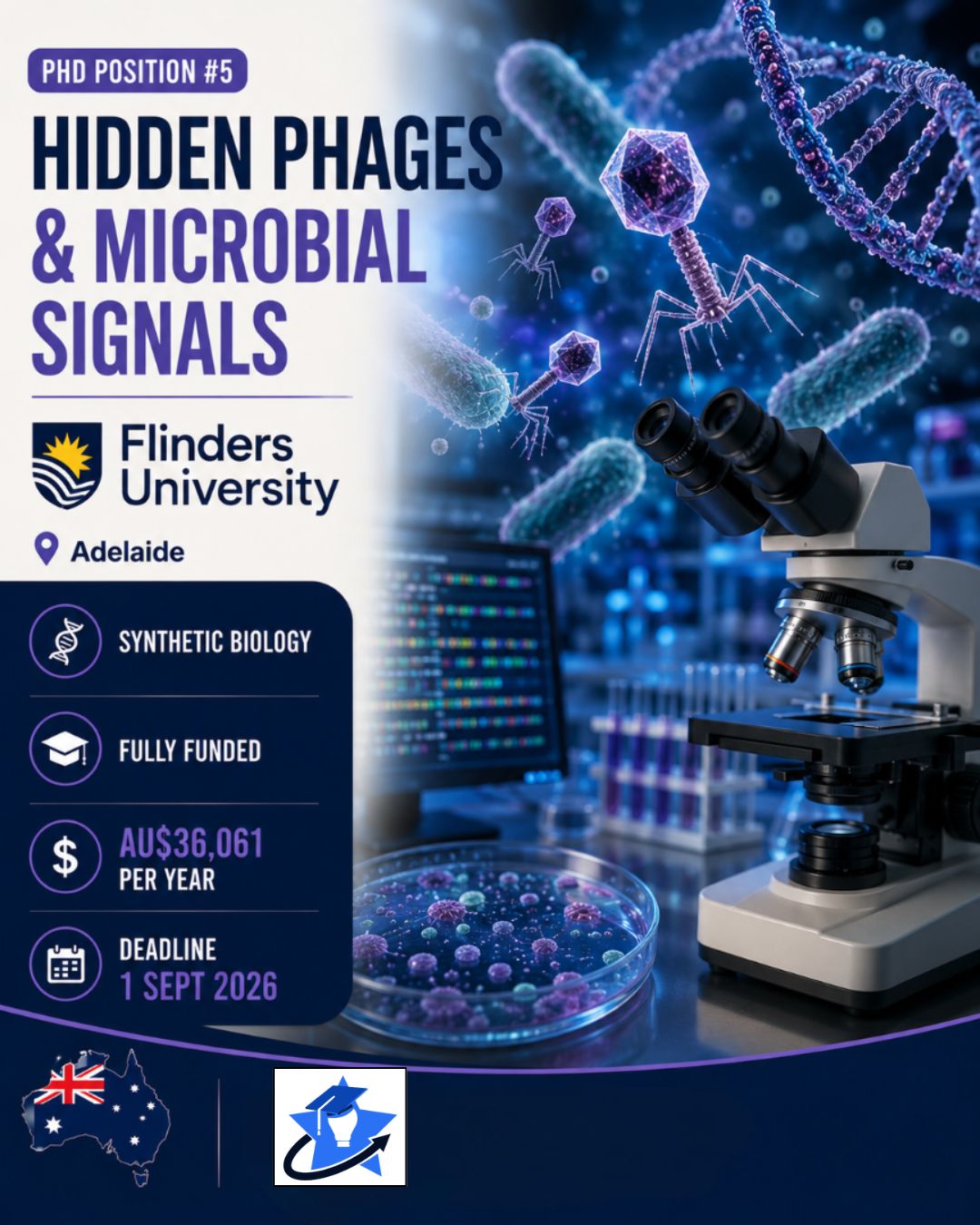 Fully Funded PhD in Hidden Phages and Microbial Signals – Flinders University Fully funded PhD in synthetic biology researching hidden phages and microbial signals at Flinders University.